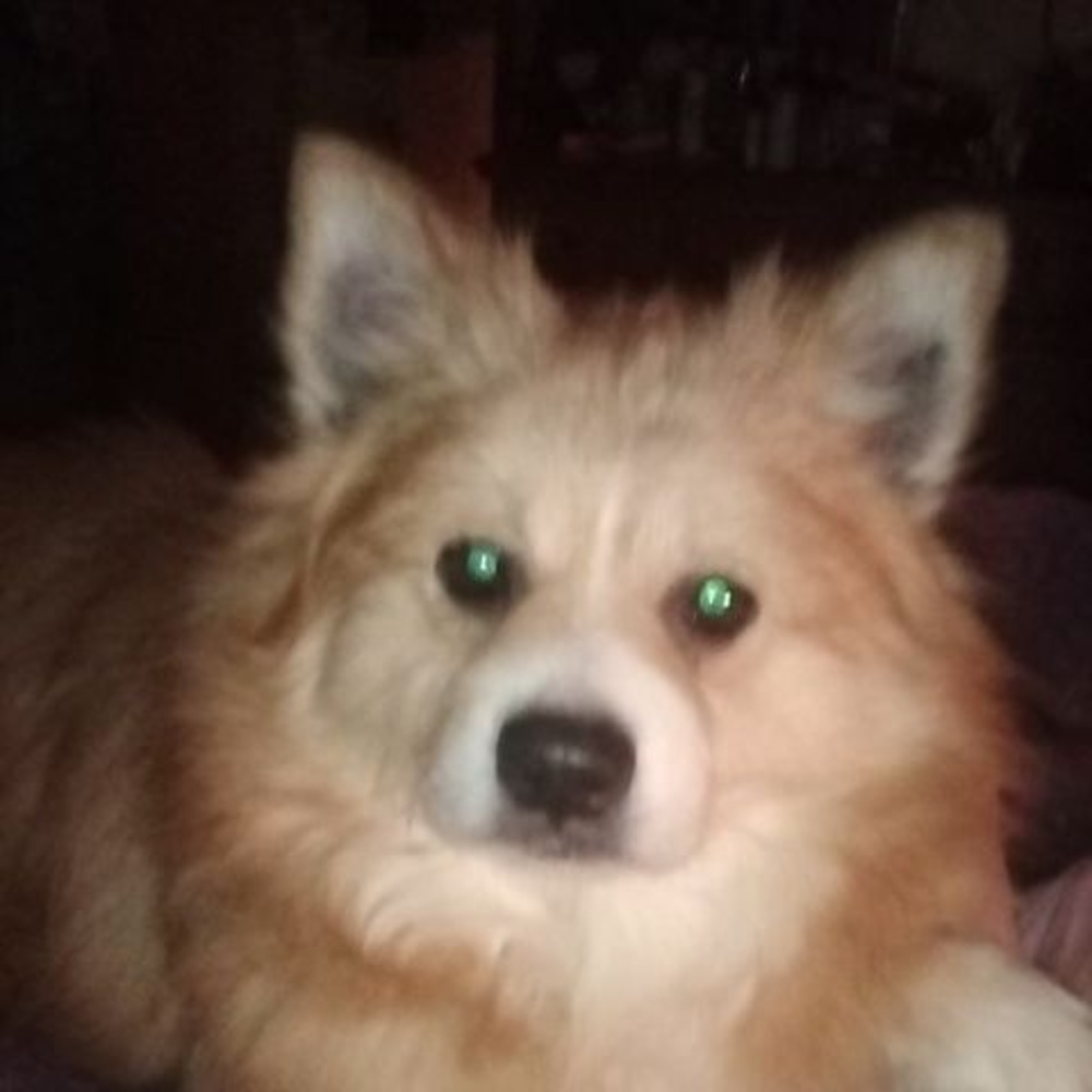 Meet your Posher, Lynn